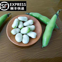 新鲜蚕豆带壳蔬菜类新鲜蔬