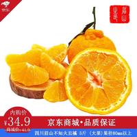 维乐季 四川眉山不知火丑橘 5斤 (大果)