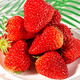 正宗丹东草莓新鲜当季应季现摘孕妇水果现发红颜草莓2斤装中小果