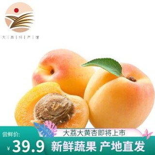 大黄杏 大荔特产 新鲜水果 应季鲜果 500g