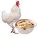 大用散养走地白羽鸡整鸡新鲜去净膛肉嫩红烧 单只约700g共4只99元 *4件