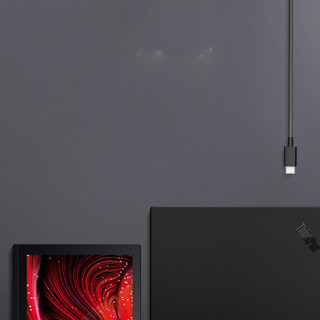 Lenovo 联想 thinkplus口红电源 Type-C笔记本适配器 黑色