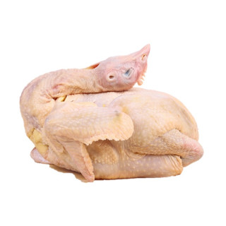 商品莘鲜农庄 三黄鸡 800g完善信息营养健康,肉质厚实,柔嫩不腻36.