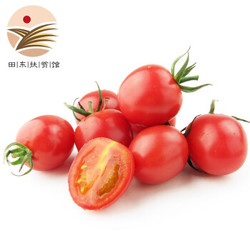 广西田东圣女果 小番茄小西红柿 新鲜蔬菜 2.5kg *2件