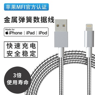 柏斯泰 MFI认证苹果数据线 流光银1.2米