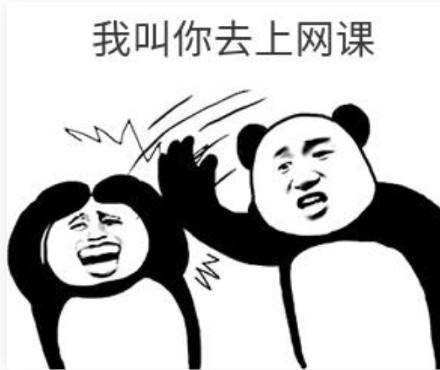 白菜党猿辅导最强大脑春季数学特训班5次直播赠价值3