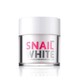 SNAIL WHITE 紧致修复素颜霜 面霜 30ml