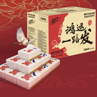 Breeze 清风 新春好运系列 BR14SGCGE2 抽纸 3层120抽24包