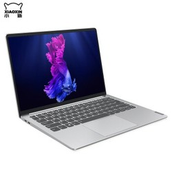  Lenovo 联想 小新Pro13 13.3英寸笔记本电脑 （i5-10210U、8GB、512GB)