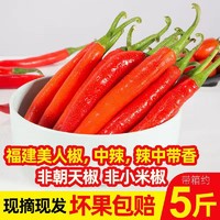 福建新鲜红辣椒农家自种蔬菜做剁椒辣泡椒非朝天椒美人椒带箱5斤