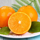 橙子云南冰糖橙 新鲜水果橙子当季生鲜水果 手剥橙甜脐橙 新鲜采摘5斤
