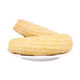京东PLUS会员：甄鲜食仓 玉米棒有机白糯玉米12根 单棒260克以上 +凑单品