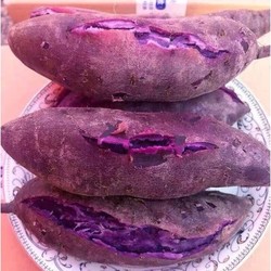 沂蒙山   软糯紫薯   1斤 *5件