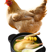 龙舒 农家散养母鸡 1kg