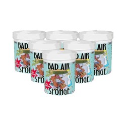 BAD AIR SPONGE 空气净化剂 400g