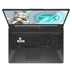 ASUS 华硕 天选PLUS 17.3英寸游戏本（R7-4800H、8GB、512GB、GTX1660Ti、120Hz）