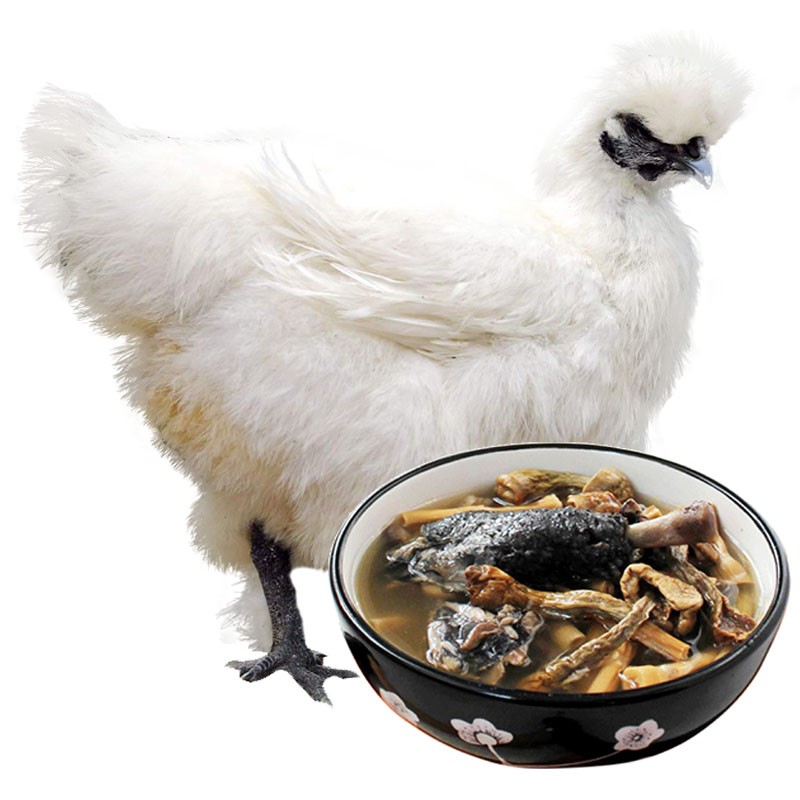 云依禾农庄 农家散养白凤乌鸡 净重750g *3件