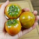 鞍山南果梨 铁皮草莓番茄 5斤
