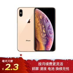 Apple iPhone XS (A2100) 512GB 金色 移动联通电信4G手机