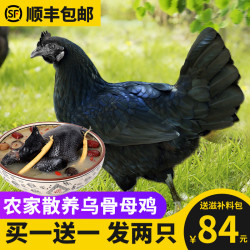守绿 乌鸡新鲜土鸡 1000g x2只 *2件