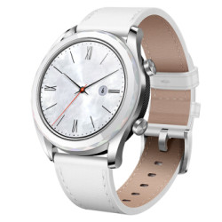 HUAWEI WATCH GT 雅致款 钢色 智能手表