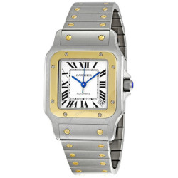 Cartier 卡地亚 W20099C4 桑托斯18K金自动机械男表