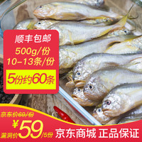 鲜冻小黄鱼  500g