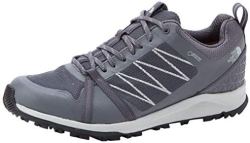 THE NORTH FACE 男士 M Lw FP Ii GTX 徒步旅行低帮鞋