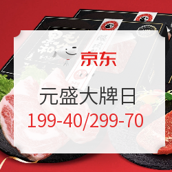 京东 元盛大牌日