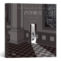卢浮地宫：一位专家的日志摘要（《3秒》《方向》作者新作）