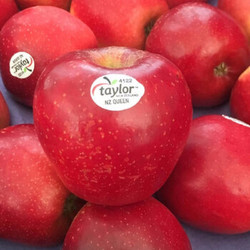 隆田 新西兰进口红玫瑰苹果新鲜6个单果60-180g *2件
