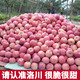 洛川高原苹果5斤