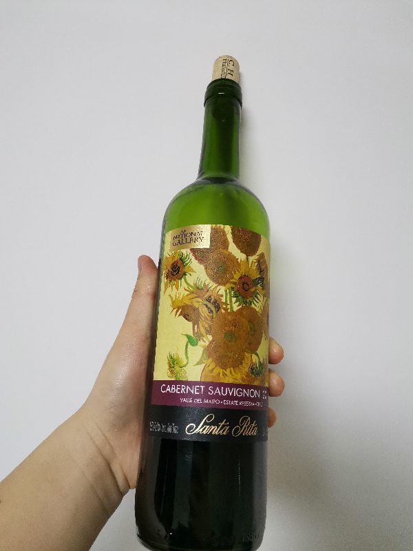         智力圣丽塔酒庄的庄主是艺