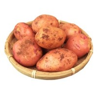 水果蔬菜 云南红皮黄心小土豆 9.5斤装