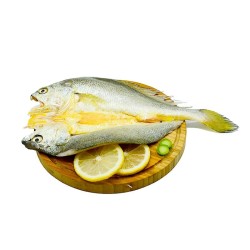海边日记 免洗三去黄鱼鲞 250克/条*2条 *2件