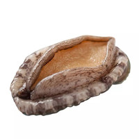 味库 鲜活鲍鱼（15-18头） 500g