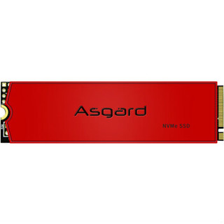 Asgard 阿斯加特 AN3+ 固态硬盘 1TB M.2接口(NVMe协议) Asgard AN3+ 1TNVMe M.2/80