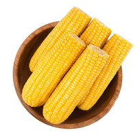 闵家山 真空包装黄糯玉米棒 单根12-14cm 10根