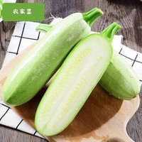 桃李村 蔬菜西葫芦 五斤装