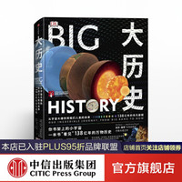 包邮 DK大历史 big history从宇宙大爆炸到我们人类的未来 大卫克里斯蒂安