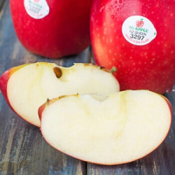 移动端新西兰进口红玫瑰苹果新鲜水果100克以上大果12个装