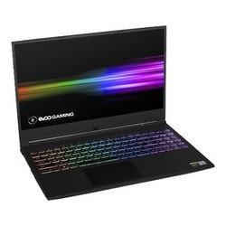 EVOO Gaming 15吋游戏本 (i7-9750H, 1660Ti, 16GB, 512GB)