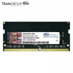 Team 十铨  8GB DDR4 2666 笔记本内存条 黑色