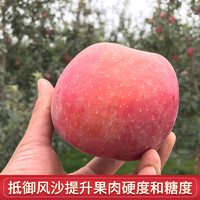 甘肃冰糖心红富士苹果6斤装（80-90mm）