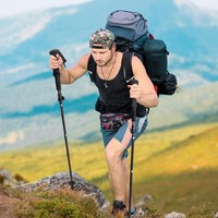 早风 五节碳纤维登山杖