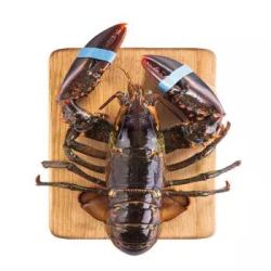 味库 加拿大进口鲜活 波斯顿龙虾 650-750g *2件