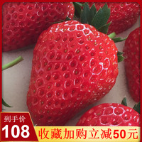 丹东 99草莓新鲜 3斤