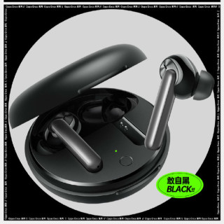 OPPO Enco系列 Enco W31 真·无线蓝牙耳机