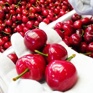 tongchengguoxian 同城果鲜 国产美早大樱桃 2kg 果径约26-28mm