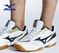 Mizuno 美津浓  GATE SKY 71GA174008R 男士羽毛球鞋